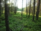 Krasnobrodzki Park Krajobrazowy
